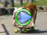 Skateboarding dog video